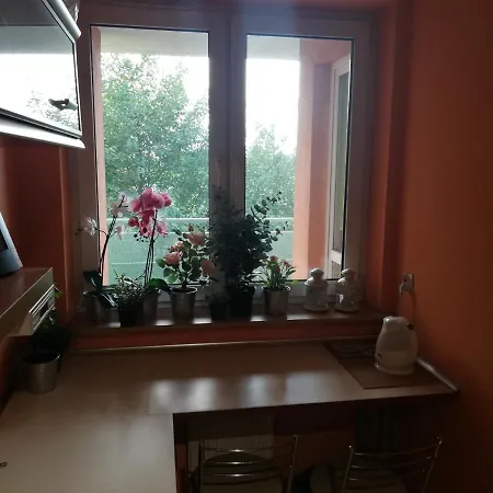 - Apartament Z 3 Niezaleznymi Pokojami Apartment