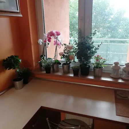 Apartment - Apartament Z 3 Niezaleznymi Pokojami *